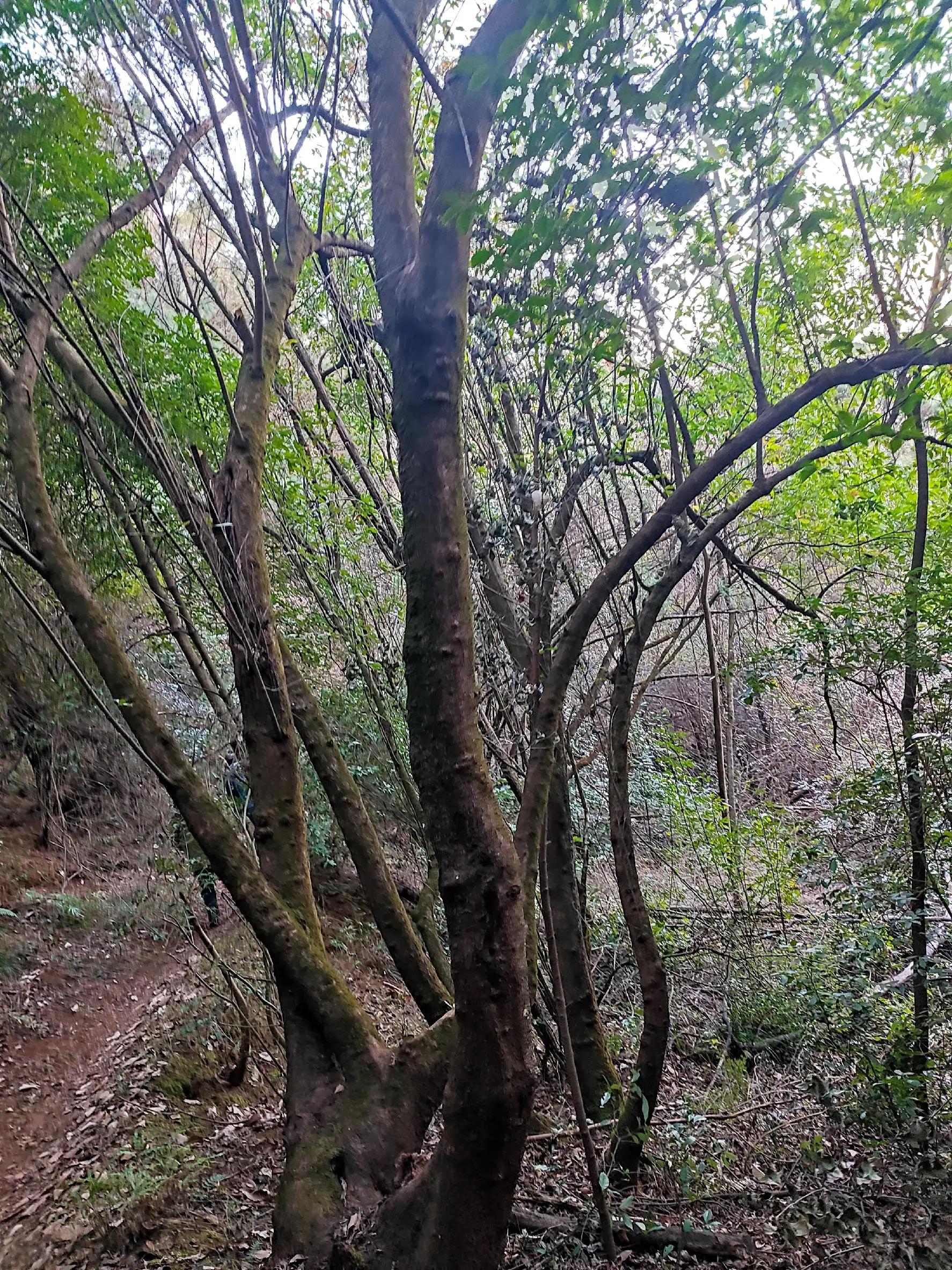 昆明西山区这边值得打卡的地方,昆明西山值得打卡吗