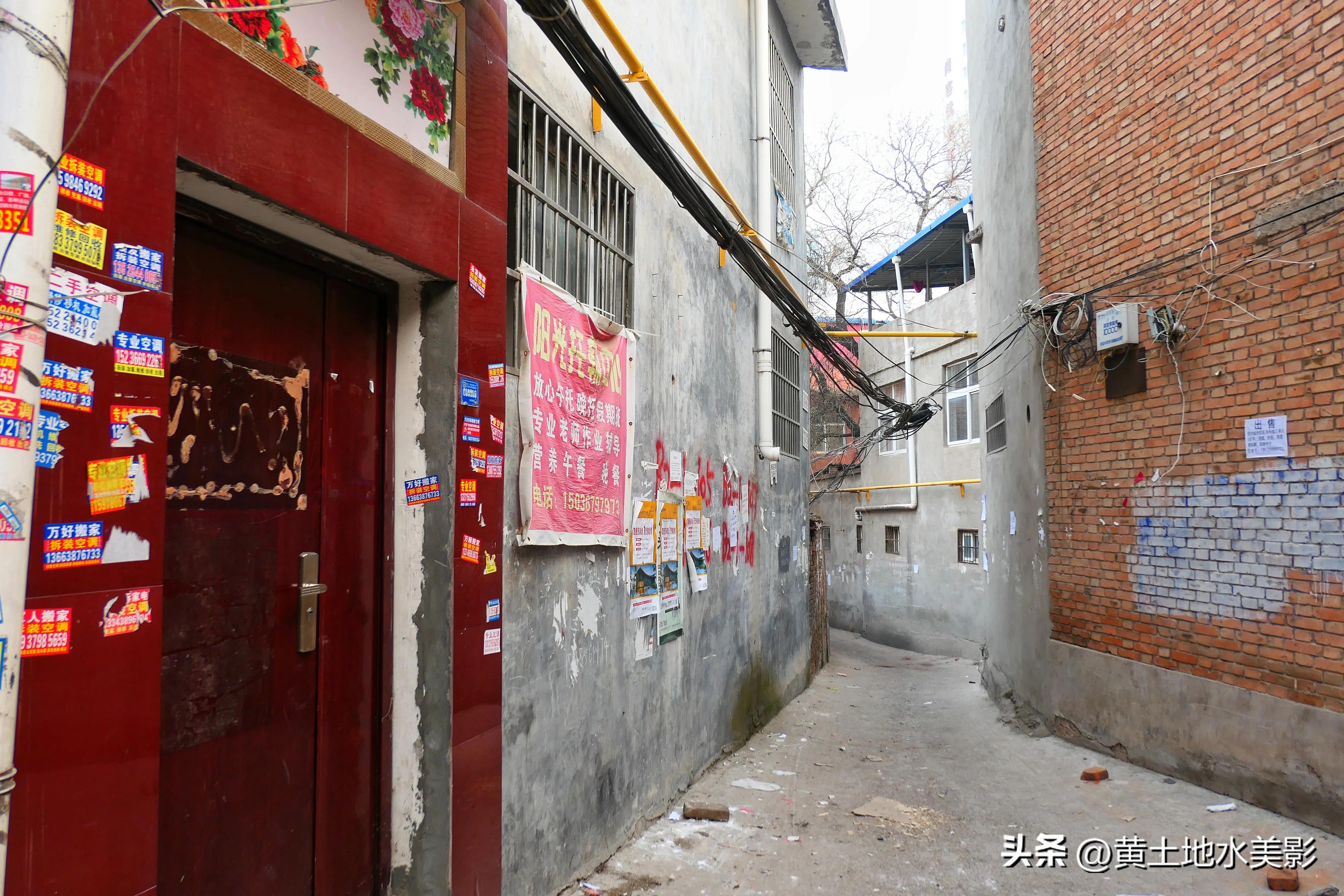 村里有棵五百多年树龄的国槐,一棵四百多年的国槐