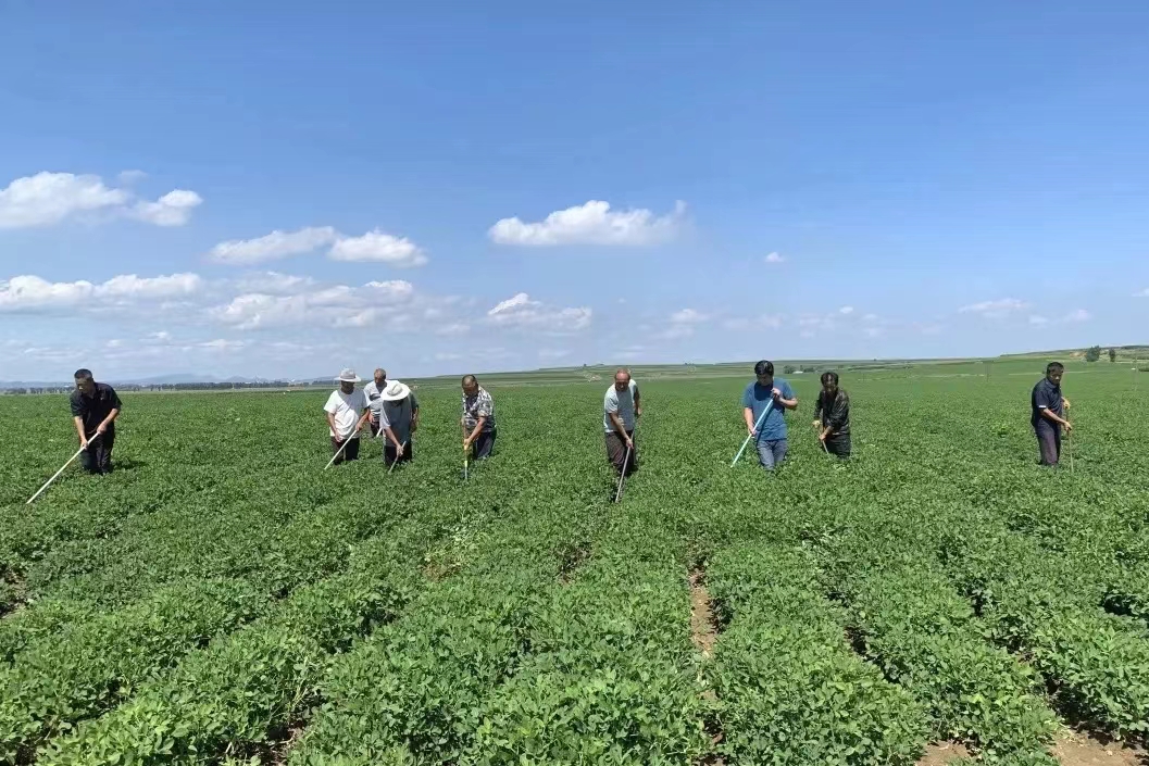 义县最新引资消息,义县招商