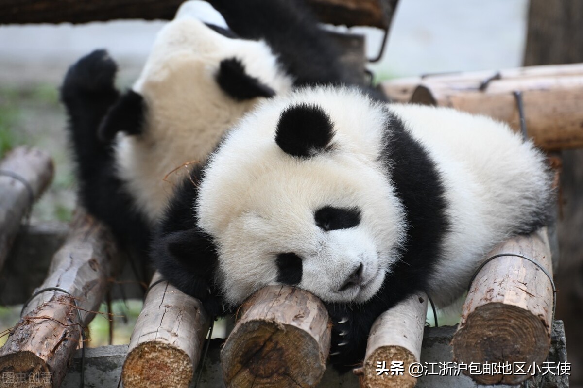 书荒不愁的小说,书荒不愁推荐书籍