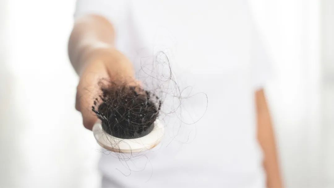 生姜擦头皮专治各种脱发视频,吃黑芝麻有什么好处治脱发吗