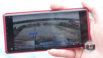 养蟹20年的老蟹农总结的经验,阳澄湖养蟹技术