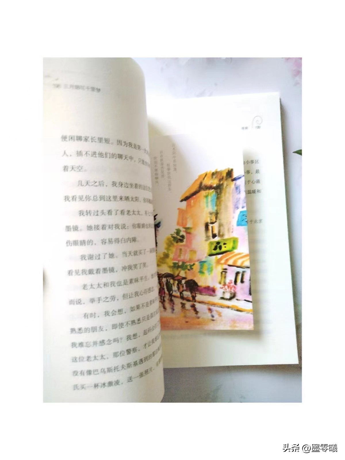 一朵花的盛开需要经历四季的流转,一朵花绽放整个春天