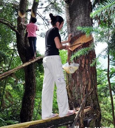 青年农村创业,100个小成本适合农村创业的小方法