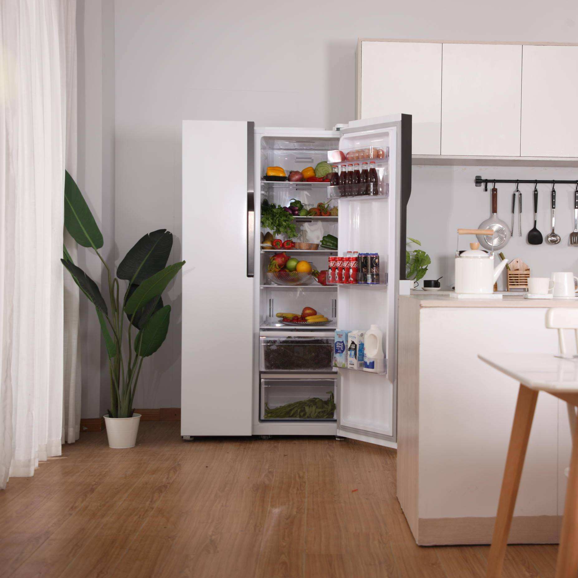 冰箱怎么选谁懂啊,冰箱3000以下哪个品牌性价比高