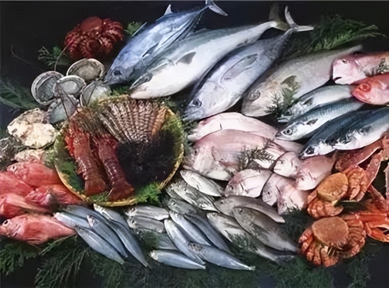 海洋动物体内的原肌球蛋白含量，是否会引起人体食物过敏？