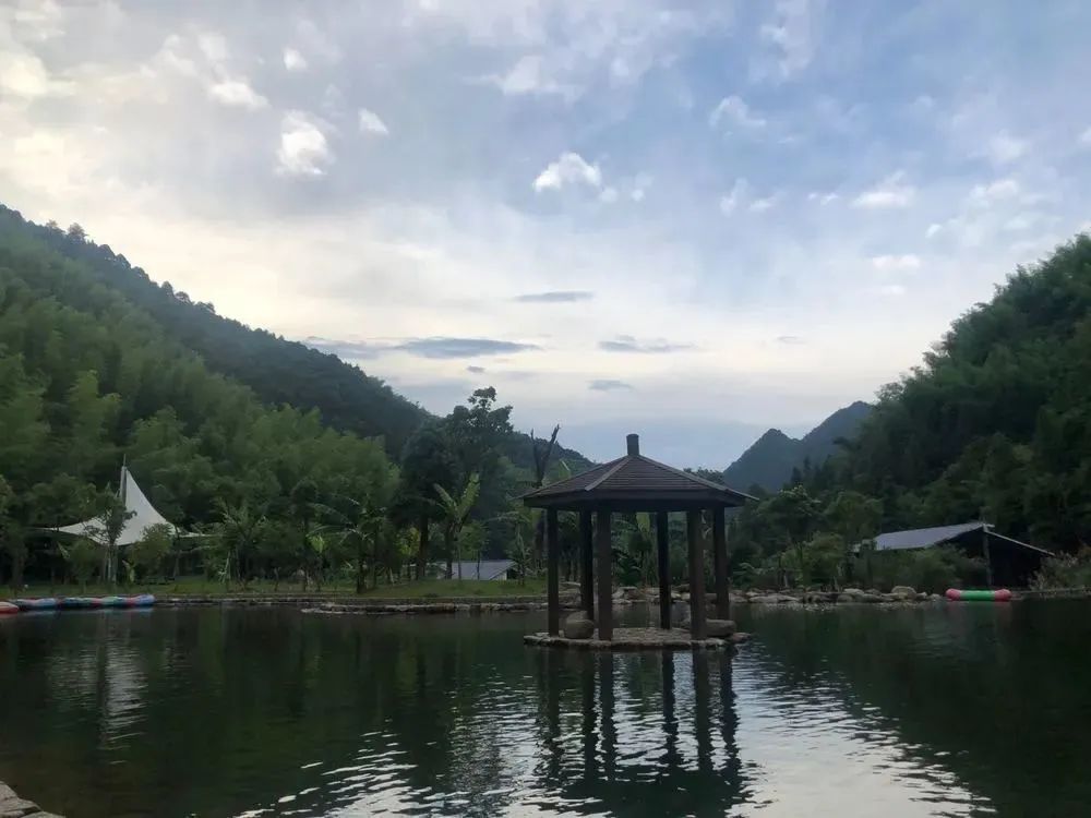 【上饶天下SHOW之广信区】中华蜜蜂谷:藏在五府山竹海密林中的蜜蜂“乐园”