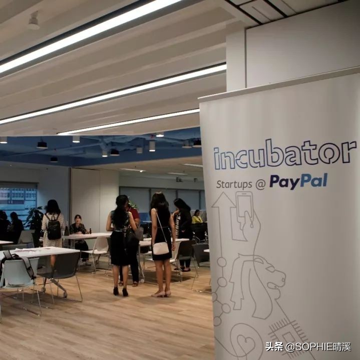 24岁创立VC投资基金,我在这个山东姑娘身上看到了人生的无限可能