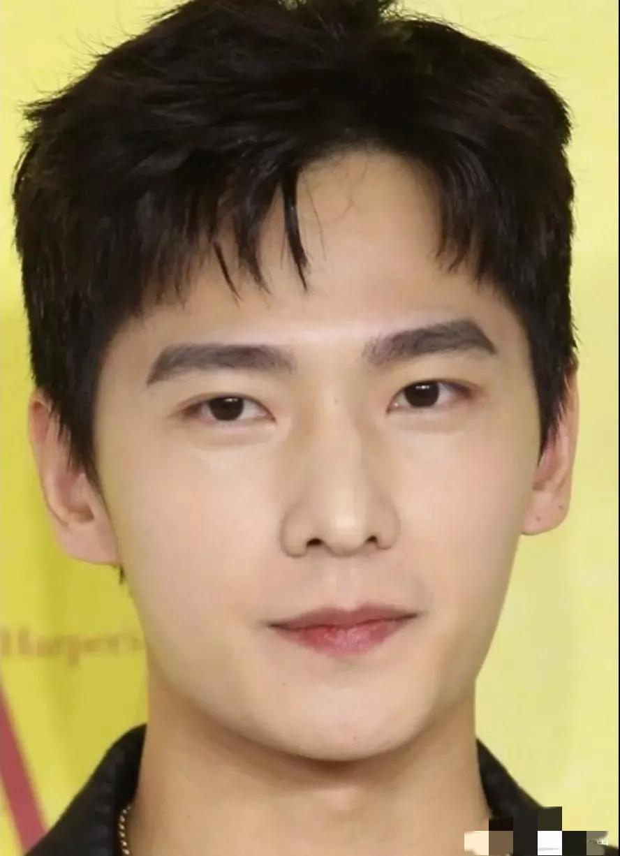 全国各省帅哥排行榜,盘点全网最帅的帅哥排名榜