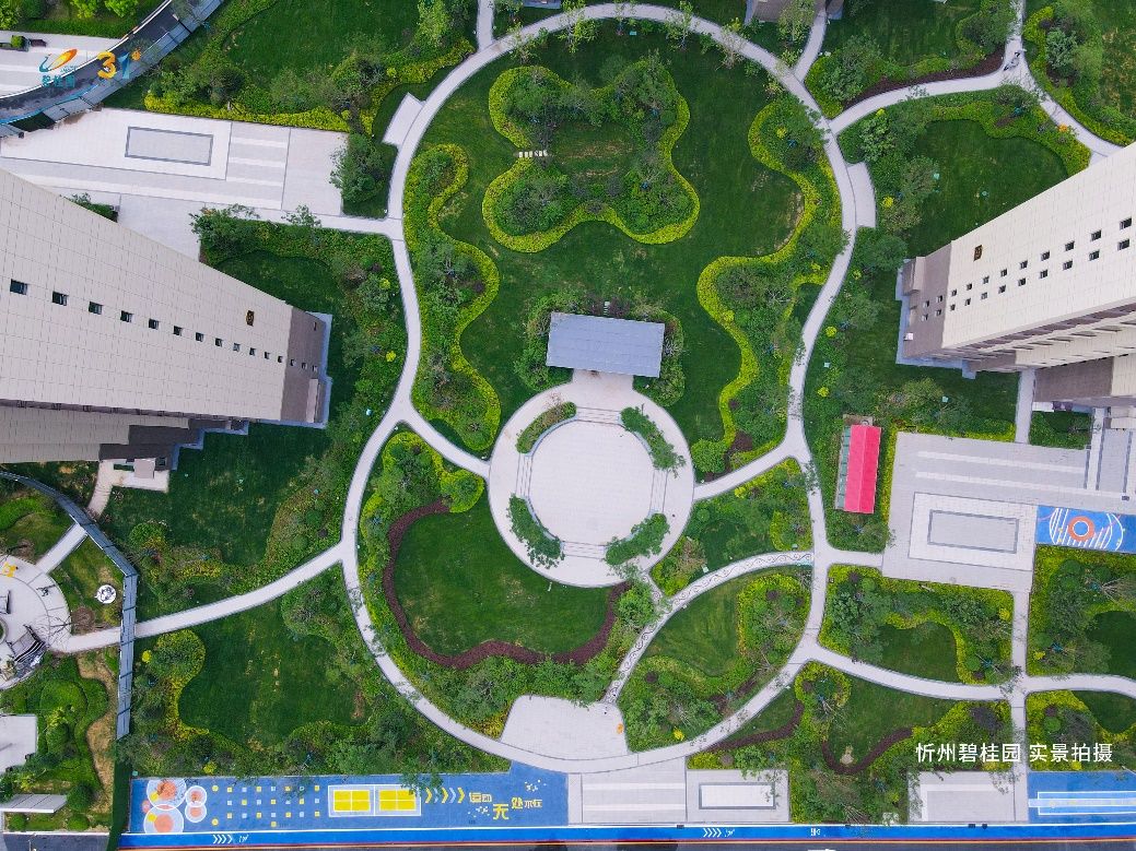 忻州碧桂园大户型,忻州碧桂园一梯一户227平米