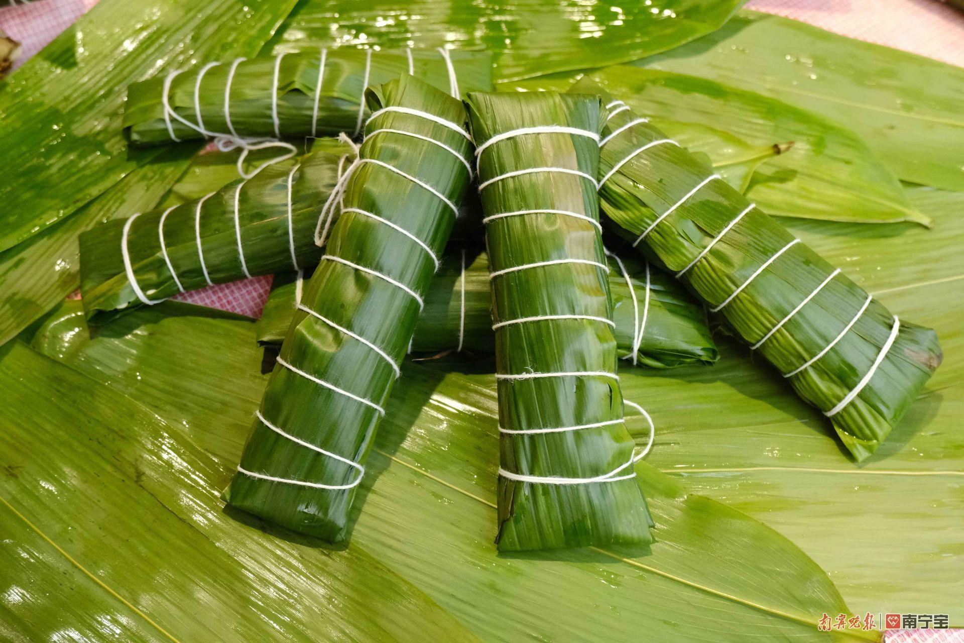 邕城印记图片,邕城印记兰花篇全文