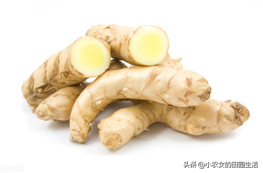 家庭种植生姜方法用什么桶,小家庭生姜种植方法