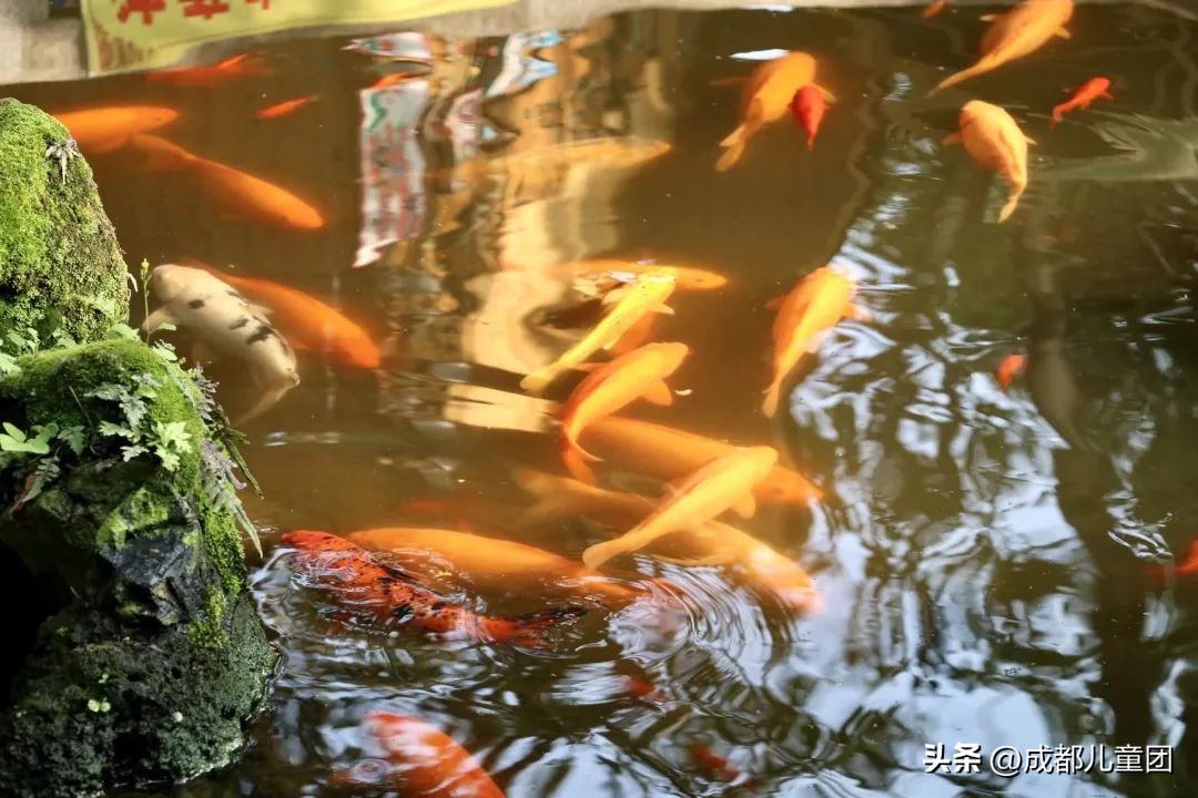 地铁3号线能到的美景地方,一号线地铁直达的风景