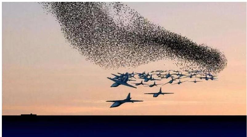 俄罗斯对大疆无人机爱不释手,俄罗斯无人机和大疆比哪个强