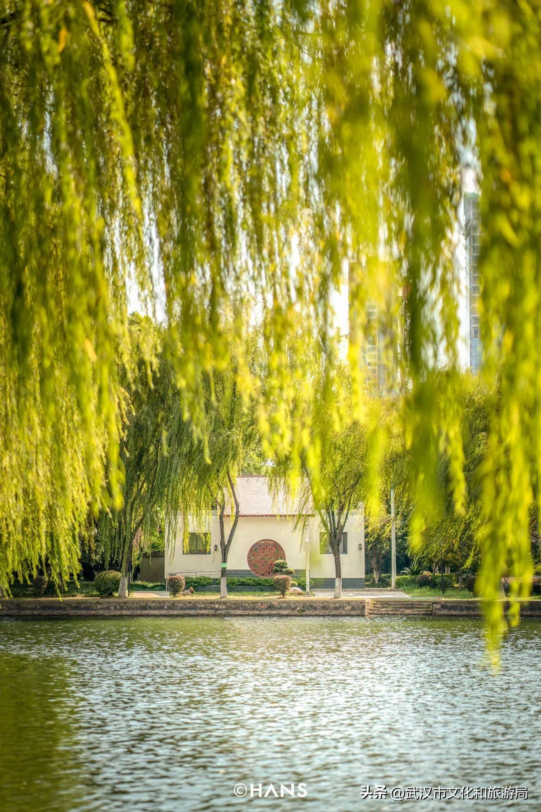 离武汉人最近的湿地，家楼下的10个宝藏小湖