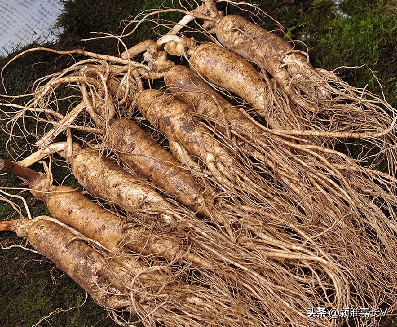 各大网购平台假货量排行,网购中假货最多的十大行业