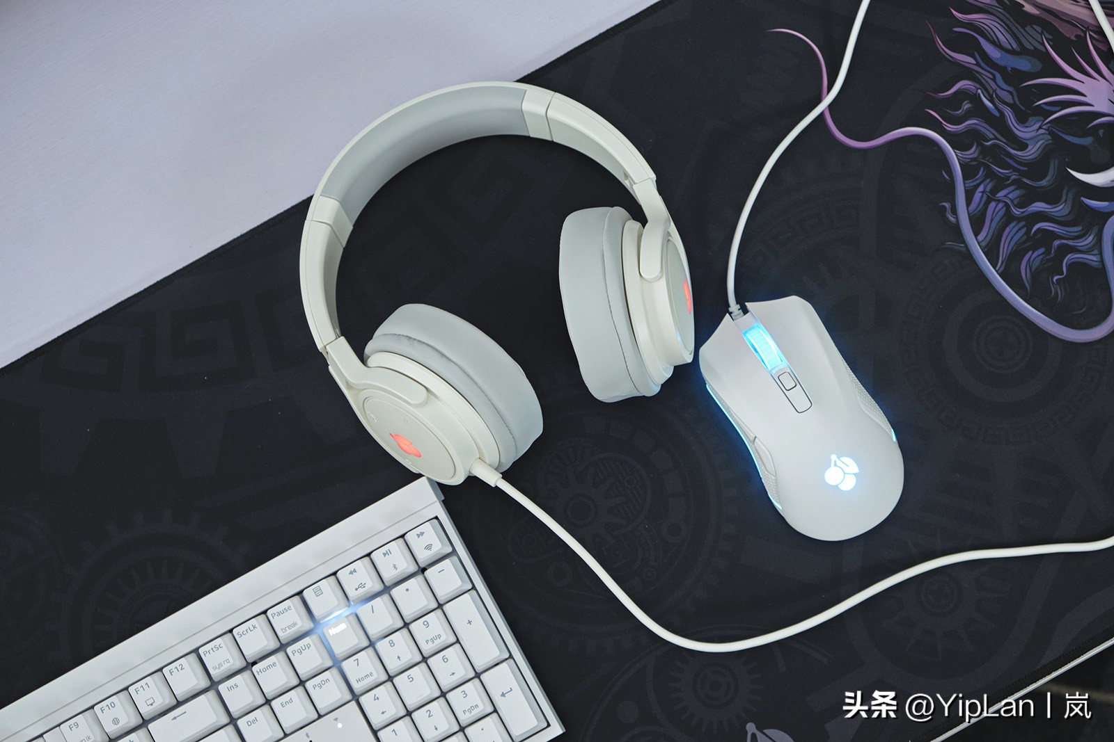 cherry澶栬鎺ㄨ崘,cherry澶栬鍜嬫牱