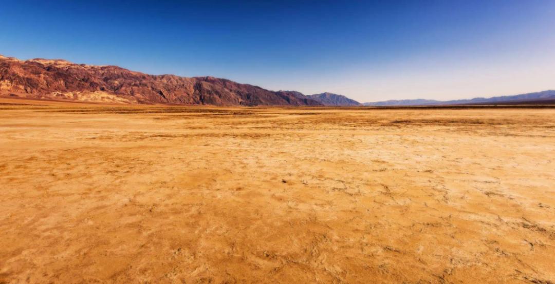 戈壁西瓜的危害究竟有多大,戈壁西瓜禁止种植了吗