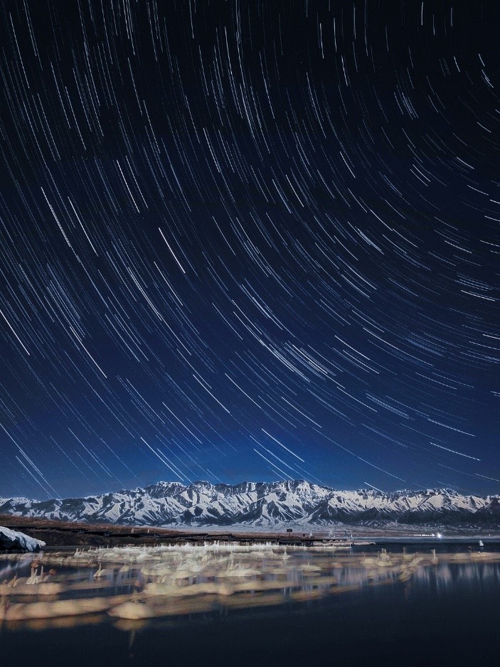 华为p60系列影像测评,华为p60pro影像补齐短板