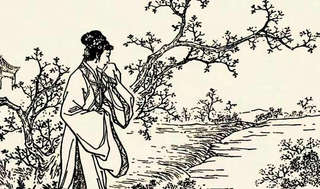 儿媳杀公公真实事件,案件纪实儿媳杀公公案