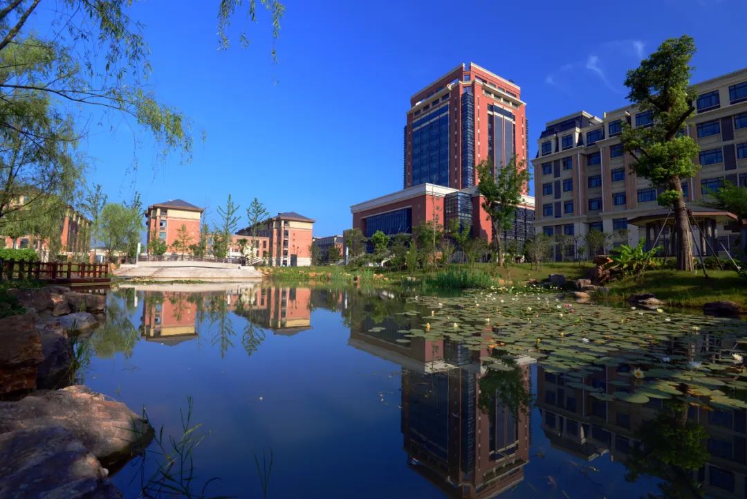 班主任要强,合肥七中教师风采