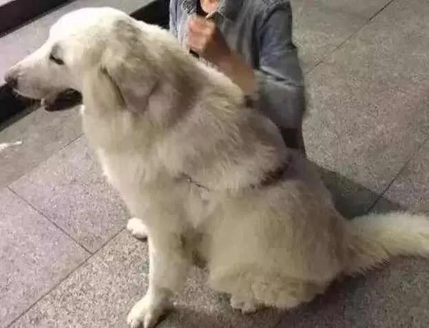 关于袜子真实的故事简短,臭袜子的故事