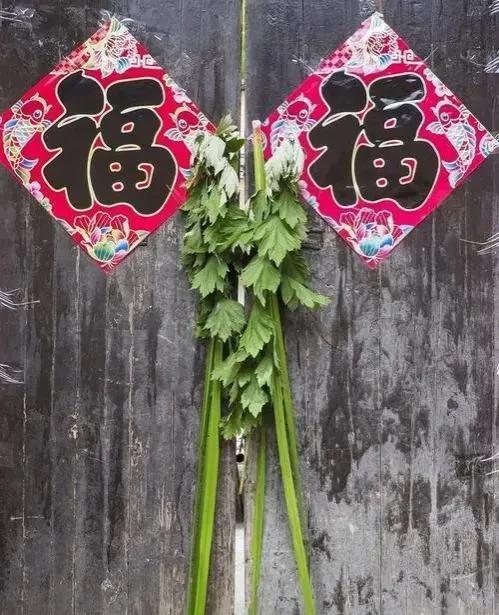 端午节为什么说的是安康,端午节应该是安康而不是快乐