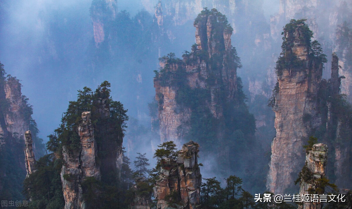 马斯克再次燃爆世界财富,马斯克点赞中国碳达峰目标