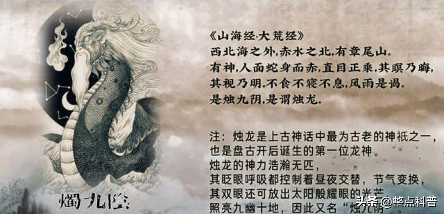 秦岭隧道挖出两条巨蟒是真的吗,世界上最大的蛇是不是在秦岭