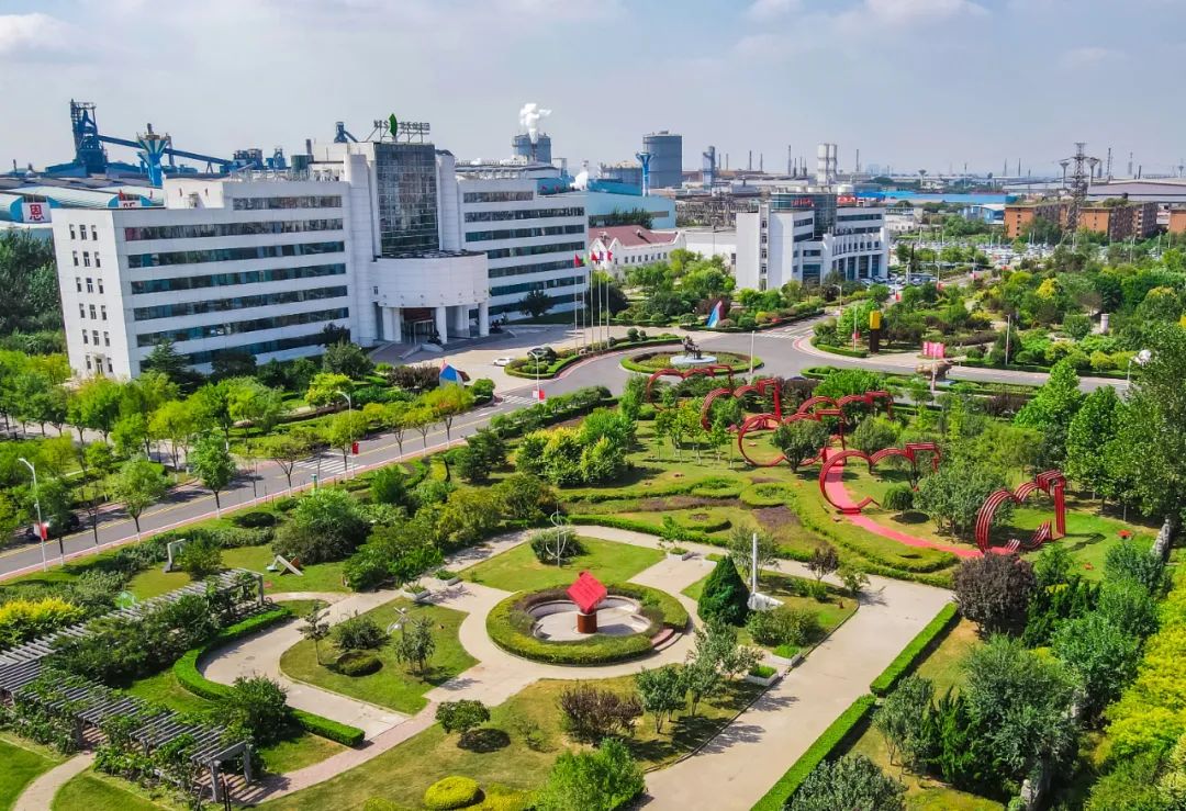 寰烽緳閽㈤搧鑾疯瘎涓浗鏍囨潌鏅鸿兘宸ュ巶,寰烽緳閽㈤搧缁胯壊杞瀷