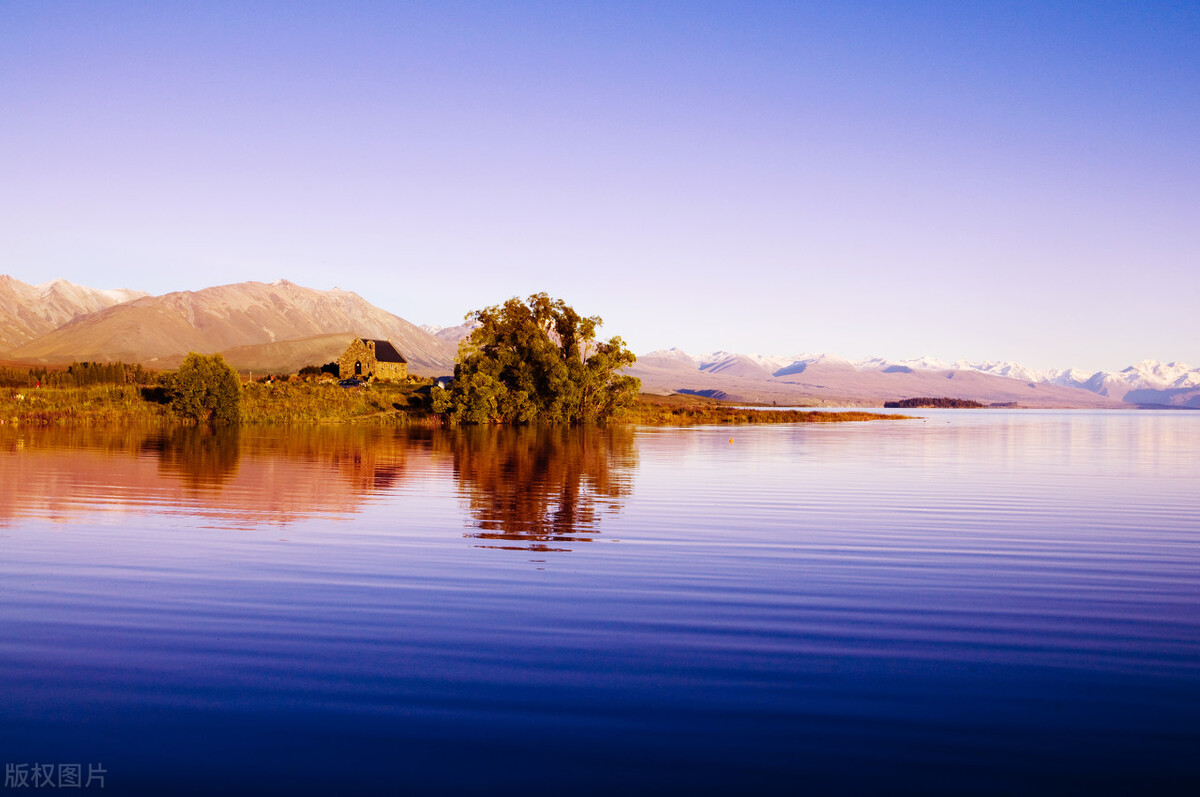 尿频尿痛吃什么中药,尿痛尿灼热中医