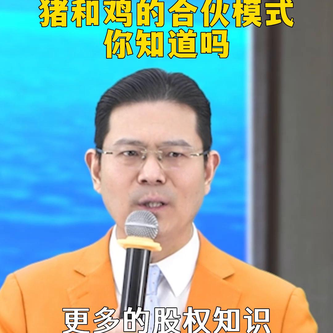 猪和鸡属相合作合不合,猪和鸡的合伙游戏