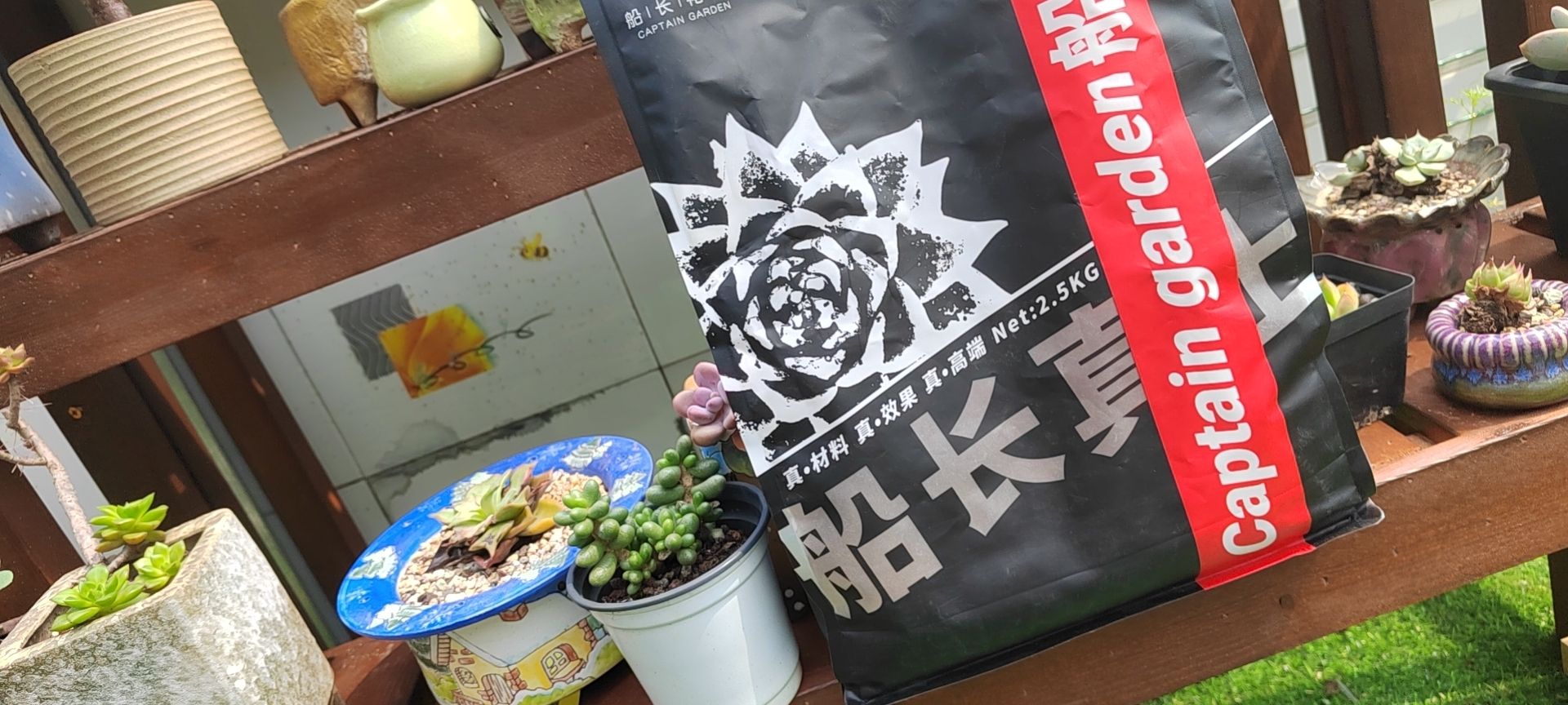 船长真土和蜗牛土谁更好用,船长真土测评