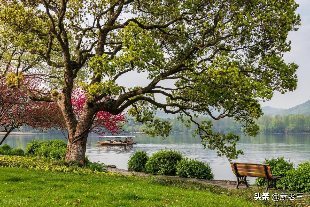 女作家去做保姆——保姆的秘密(671)