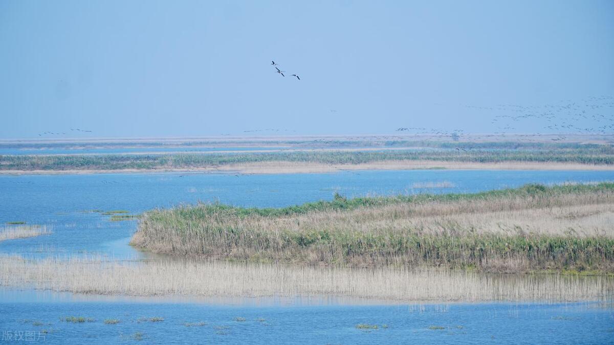 南昌最值得去的五个景点推荐,第一次去南昌最值得去的7个景区