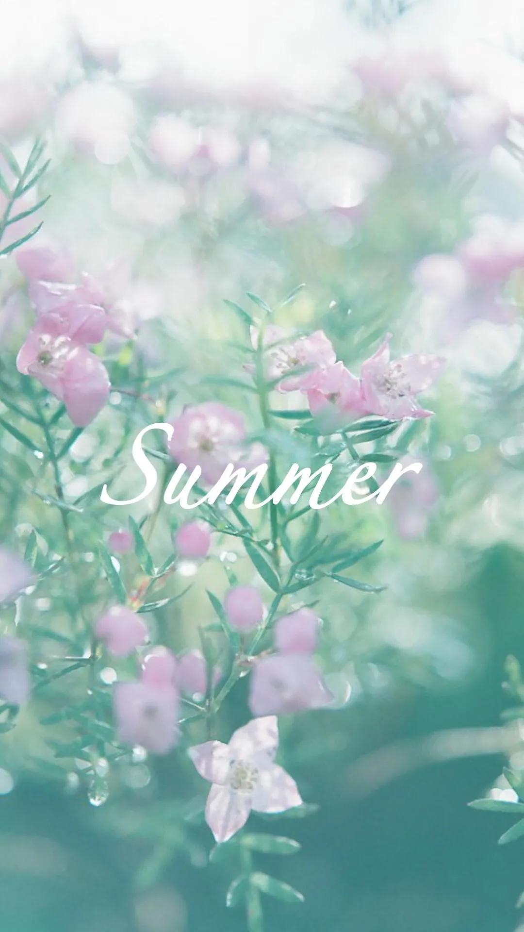 唯美手机壁纸高级感,唯美手机壁纸高清全面屏