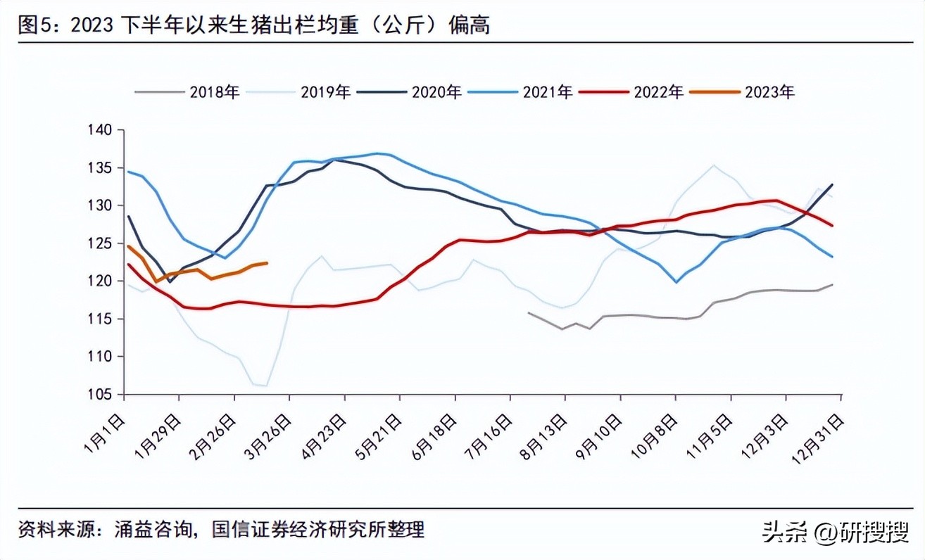 农林牧渔行业分析报告怎么写,农林牧渔行业发展趋势研究