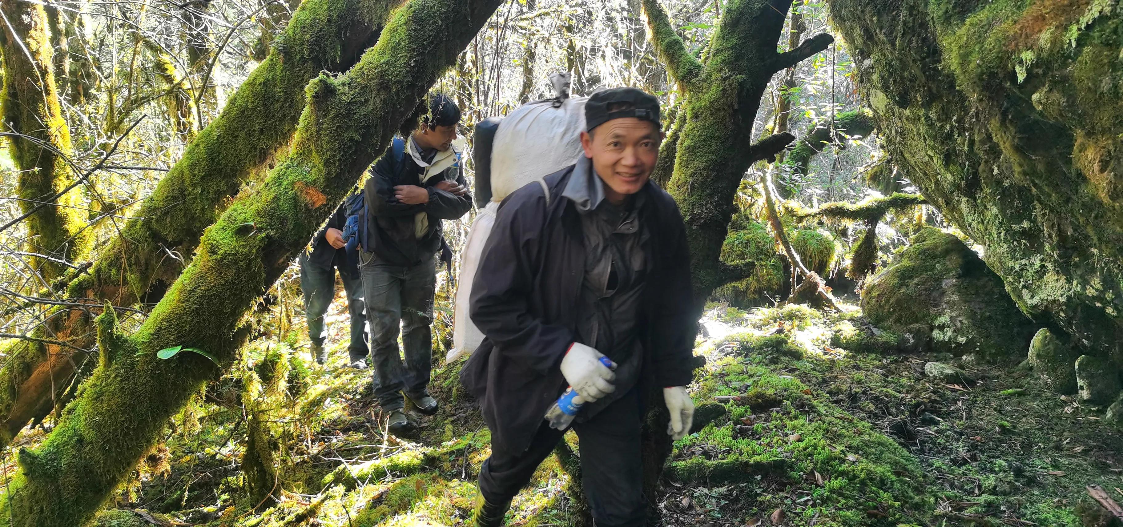 中国百慕大黑竹沟了解一下,中国百慕大黑竹沟近期气温