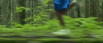 非去不可的理由有什么,非去不可的理由有哪些