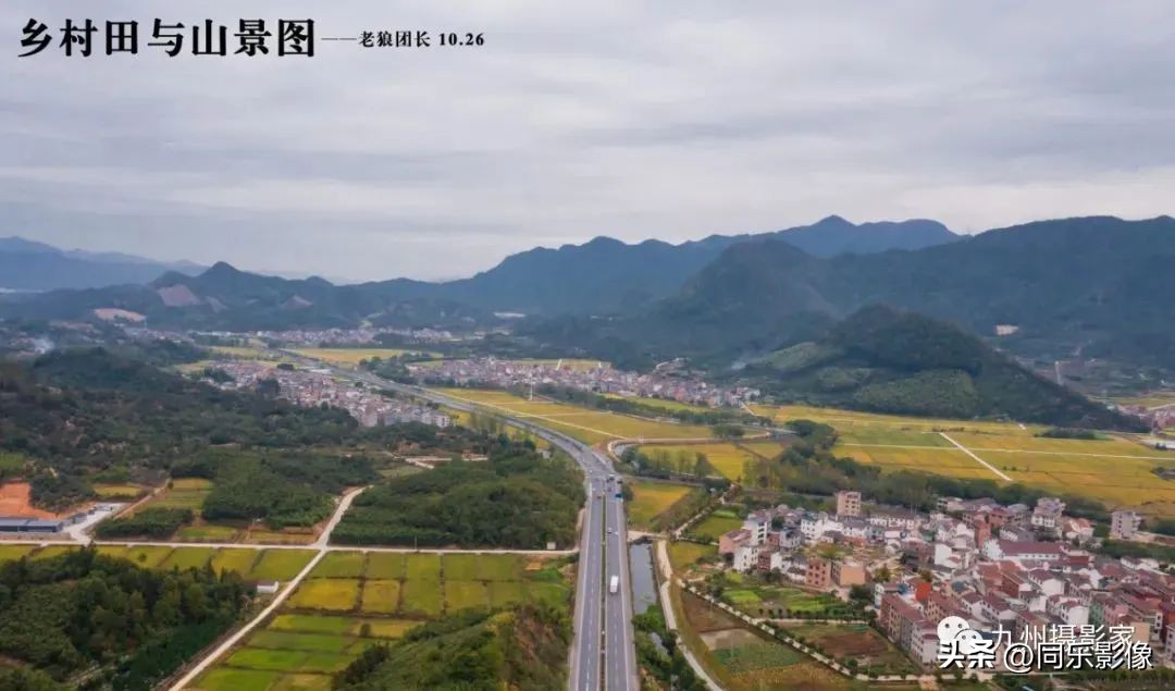 海阔凭鱼跃，天高任鸟飞---九州摄影浙江俱乐部优秀作品展