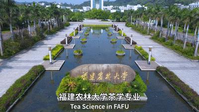 福建农林大学和农业大学的区别,福建农林大学农学院研究生专业
