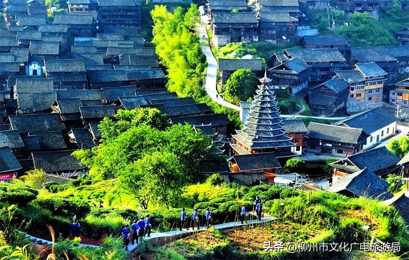 盛夏的风吹过茶园，穿过侗寨，在风情三江留恋不走~