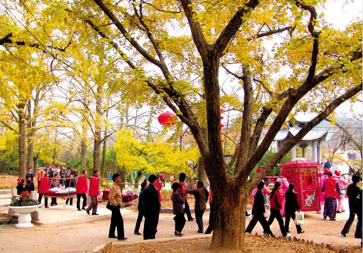 在长兴，遇见“小而美”文旅新空间（2022版）