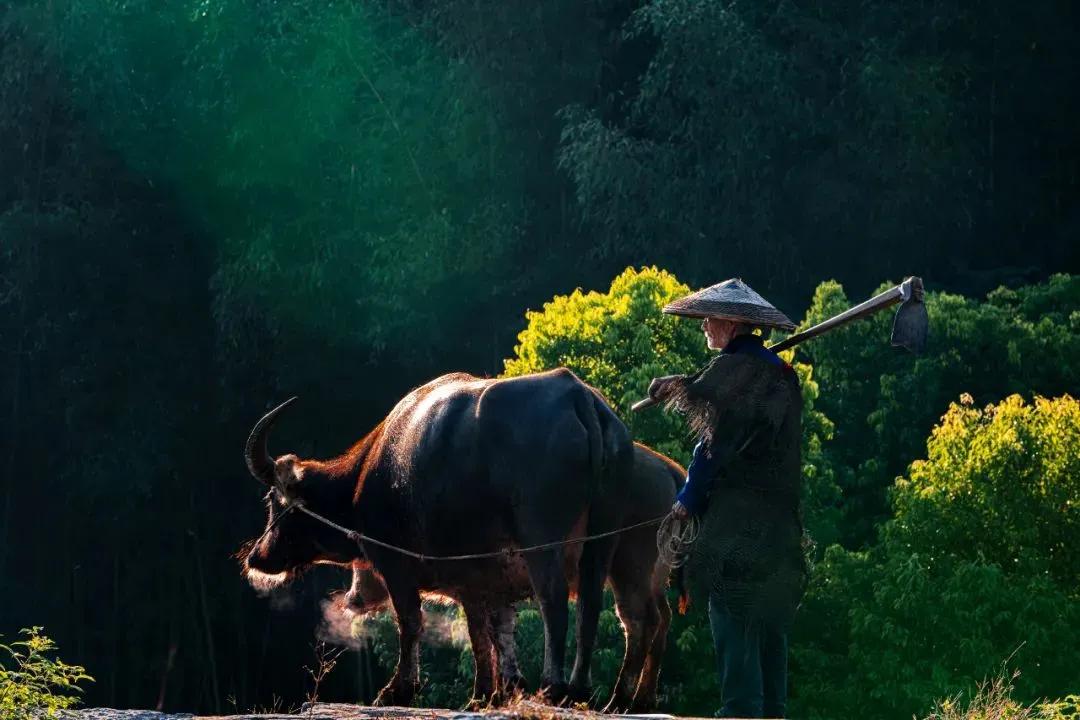每周摄影点评第17期,适合手机拍的时尚摄影作品
