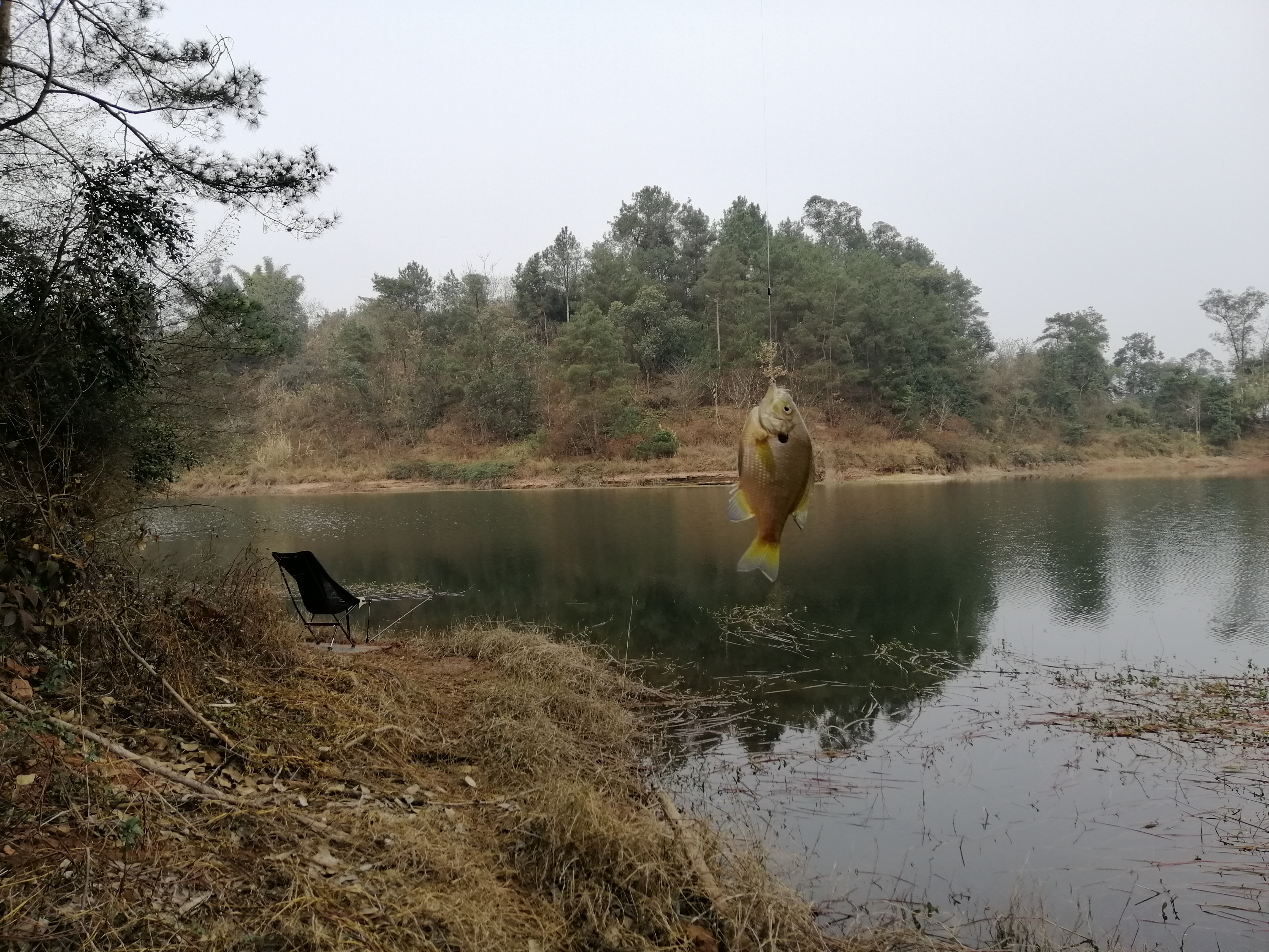 初春挑战攻略,初春挑战什么时候有