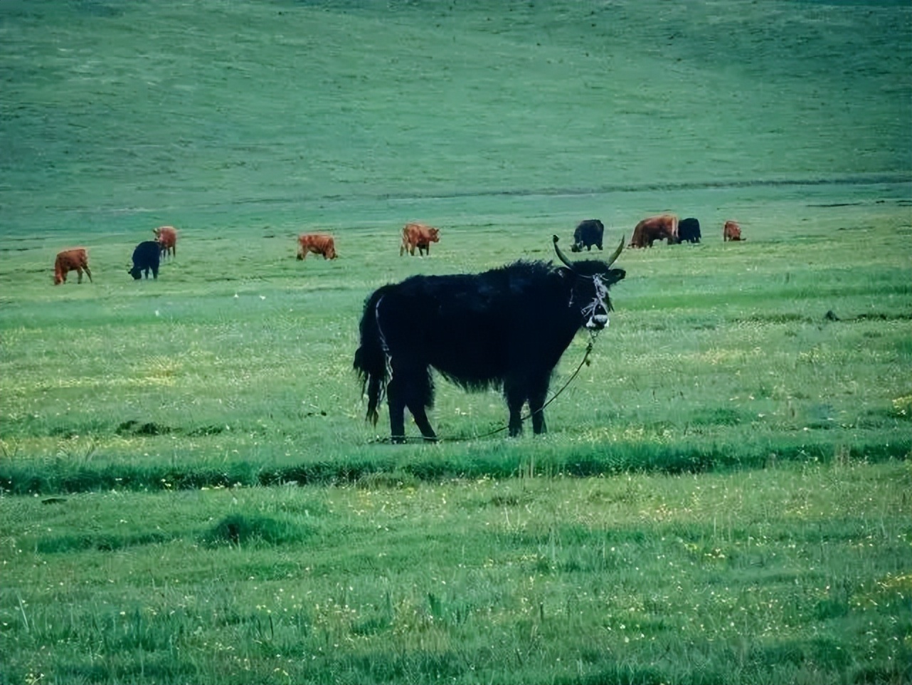 定西附近烧烤露营地推荐,新疆自驾游定西露营地