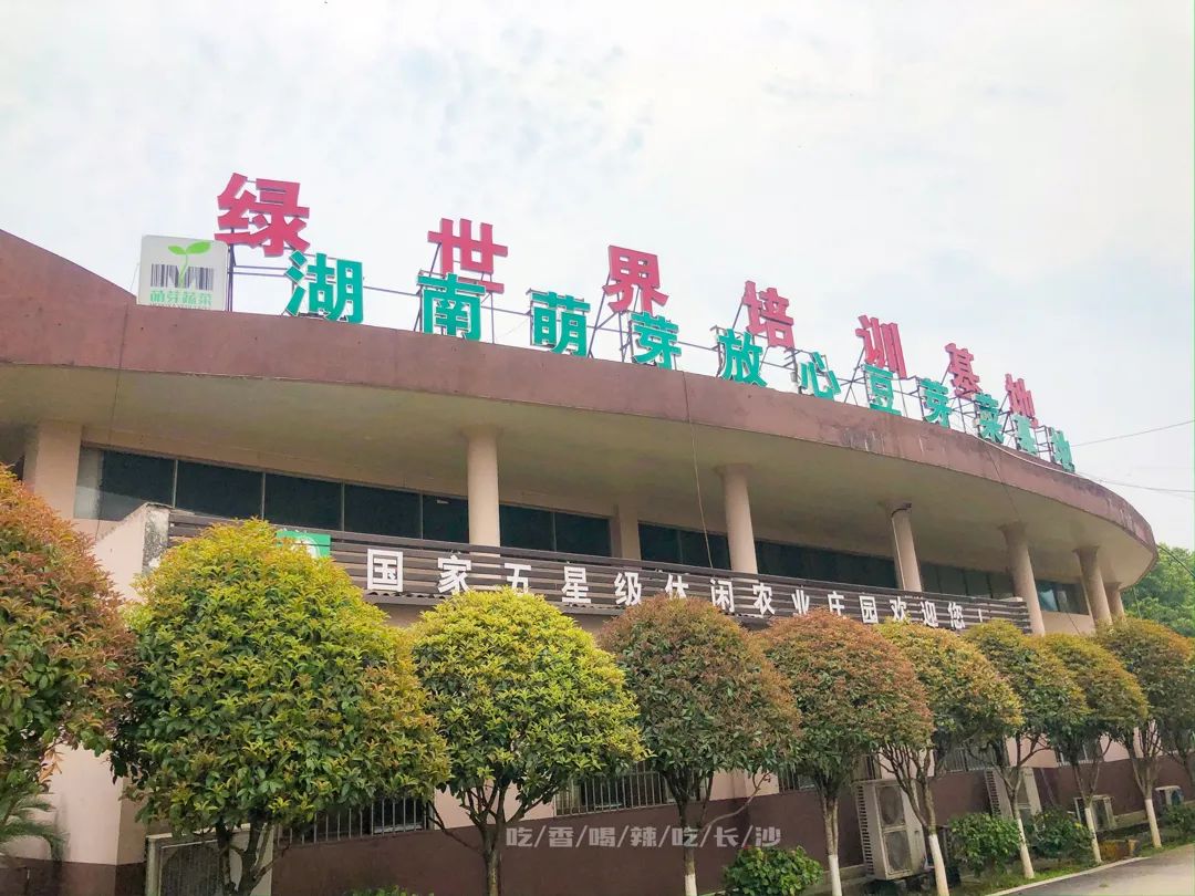 长沙攻略避开人群,收藏长沙