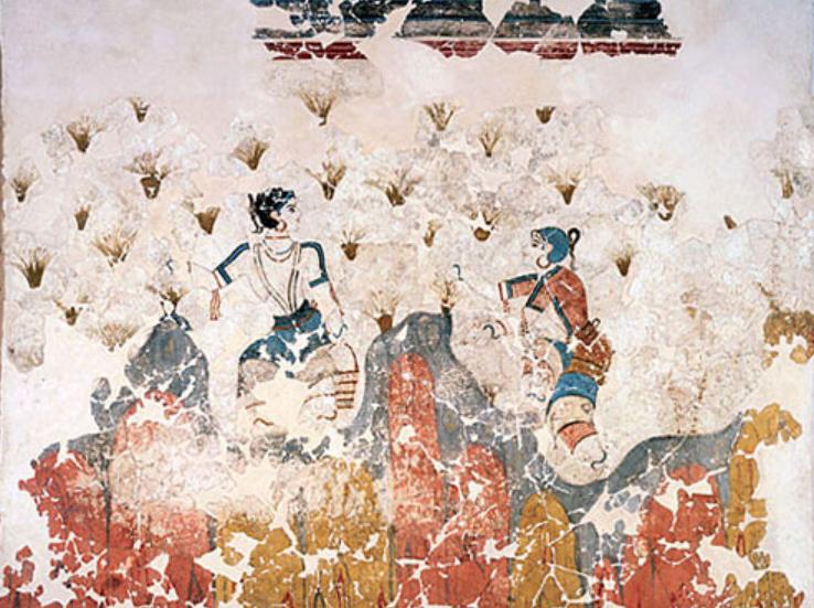 为什么国外都卖藏红花,为什么藏红花有贵有便宜