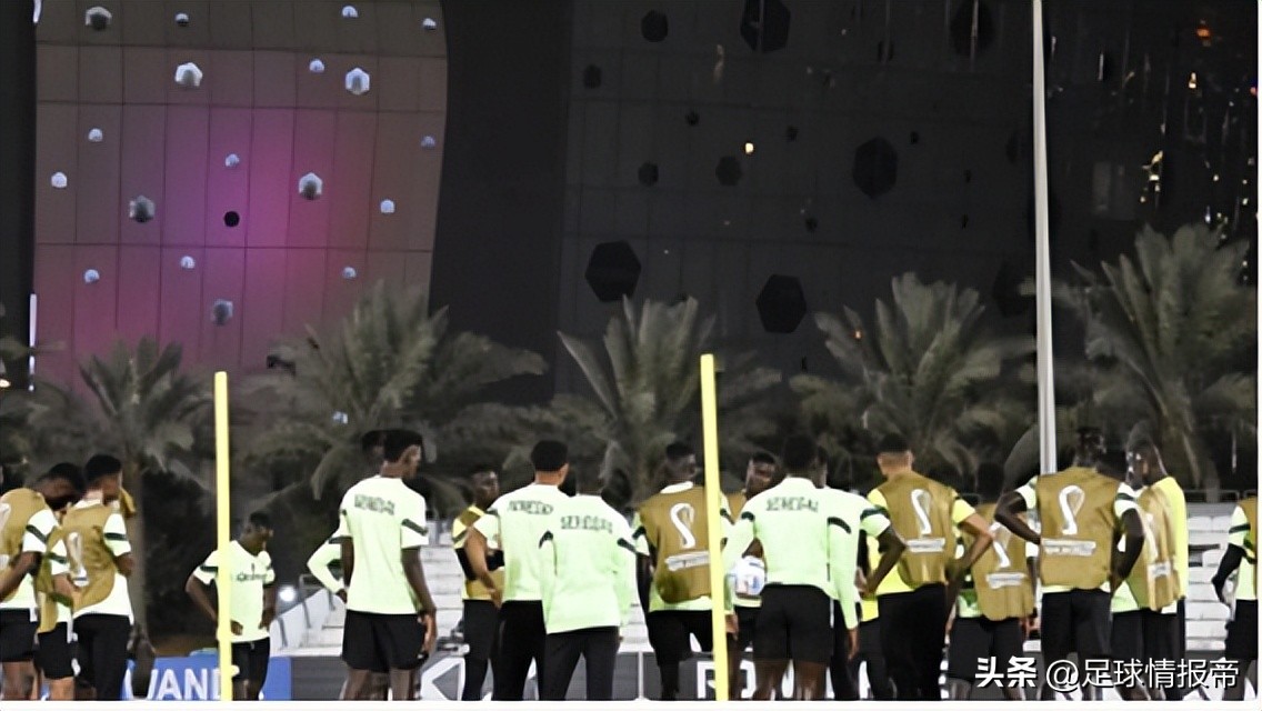 世界杯：荷兰VS卡塔尔，荷兰主帅称难大胜