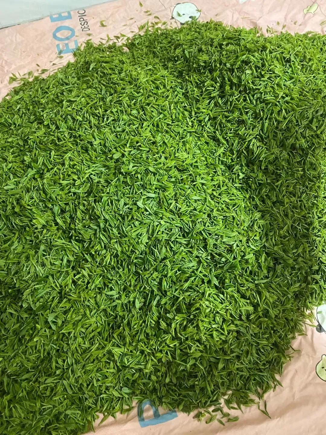 谷雨茶和明前茶的区别哪种茶更好,明前茶雨前茶谷雨茶哪个最好